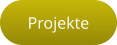 Projekte